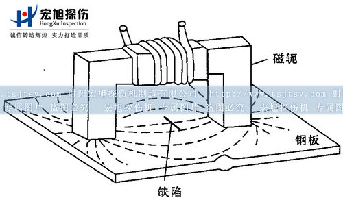 成人午夜网磁軛探頭