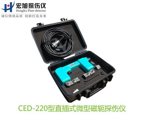 CED220型直插式微型磁軛成人午夜网